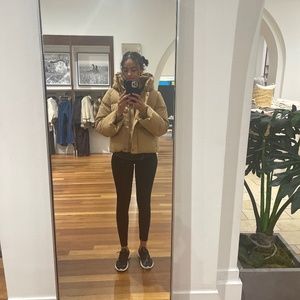 Meet your Posher, Daisy